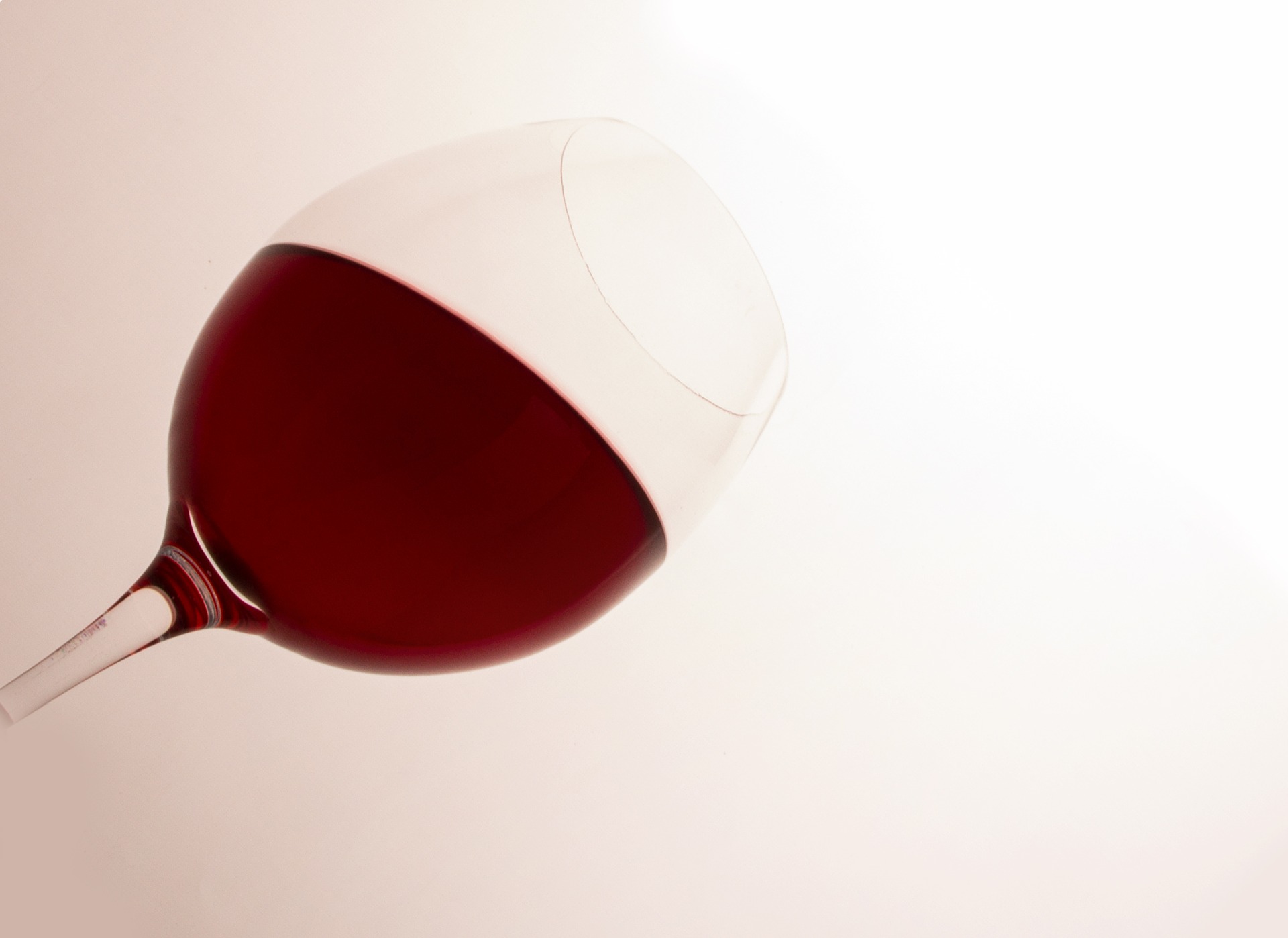 Copa de vino joven al transluz fotografía con fondo gris
